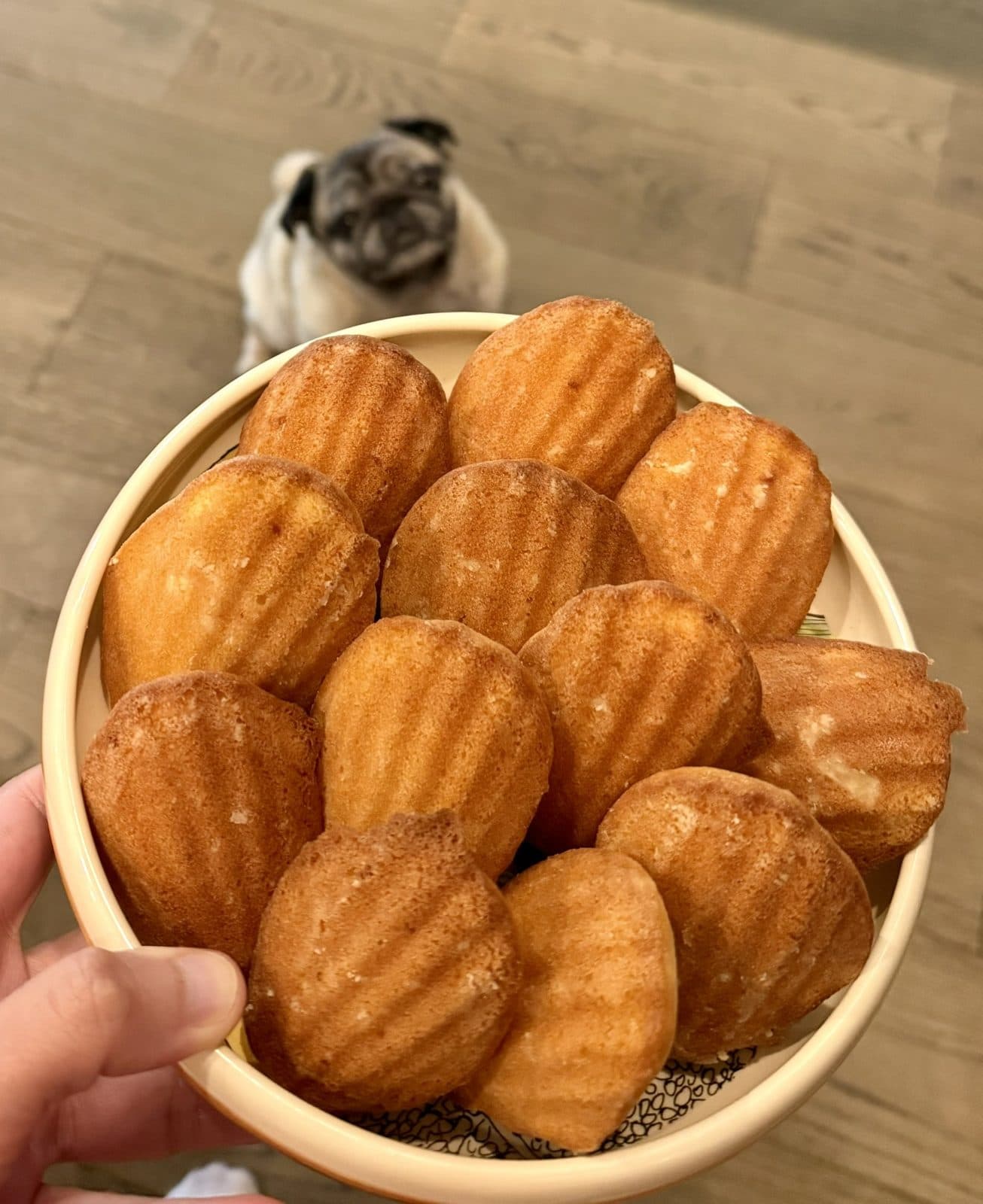 homemade madeleines